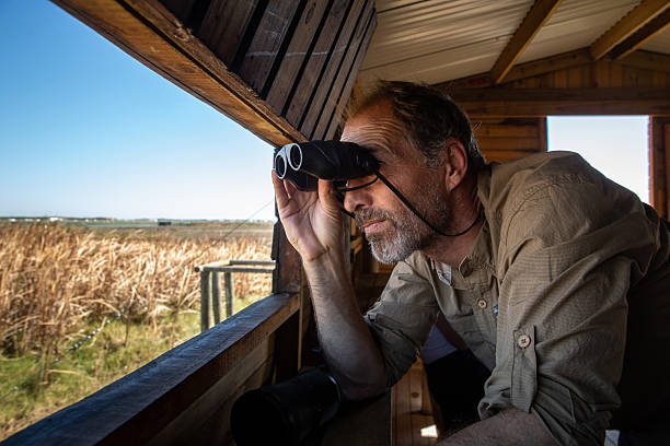 Adult man using binoculars to spot birds in their natural environment from a bird hide