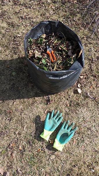 istock Performing gardening cleanup effectively involves wearing gloves and using a bag to collect debris 2210845648
