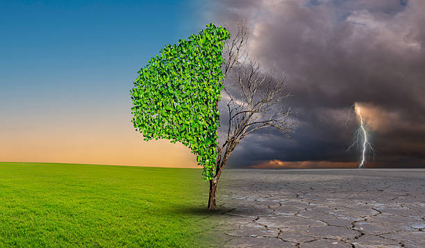 istock Drought and Green Nature  Landscape. Tree in an imaginary landscape in climate change from drought to green growth. Environment and sustainability concept. Net Zero 2050. 2210846214