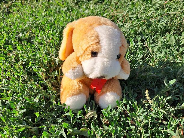 istock soft toy puppy on green grass 2210846655