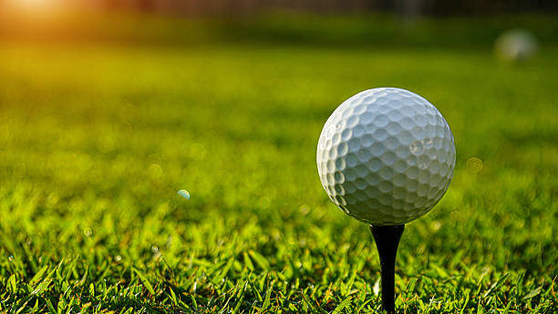istock Golf ball on green grass in the evening golf course with sunshine background. 2210860620