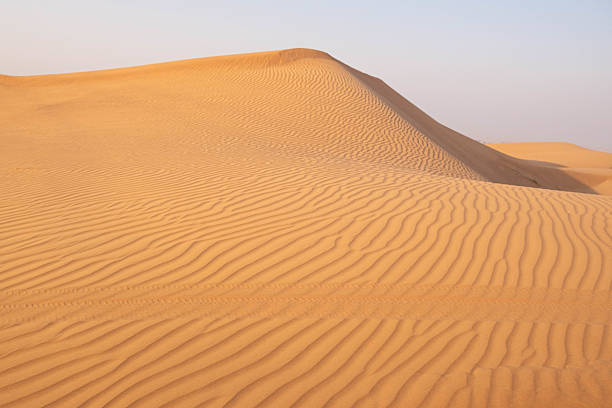 istock Golden Sand Dunes with Rippled Texture in Desert 2210861814