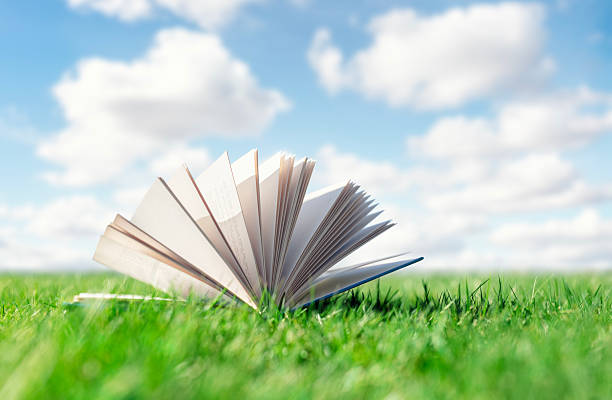 istock Open book on green grass in a field background 2210863329