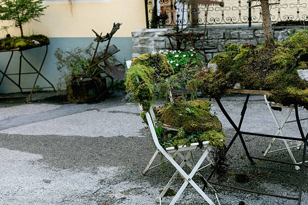 Abandoned garden furniture overtaken by moss and plants in courtyard. White folding chairs and tables with green moss growth creating atmospheric abandoned garden scene against stone wall background.
