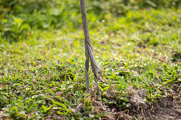 istock A current pole wire, an iron wire, and a lead wire inside a grass field 2210865869