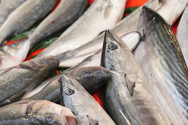 istock Fresh Fish Beautifully Displayed on a Market Table for Consumers 2210875012