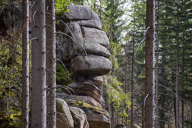 Massive weathered rock formation in a pine forest, resembling a stacked sculpture. Captured in natural daylight during spring in the mountains.