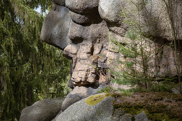 istock Weathered rock formation with moss in a dense forest. 2210875612