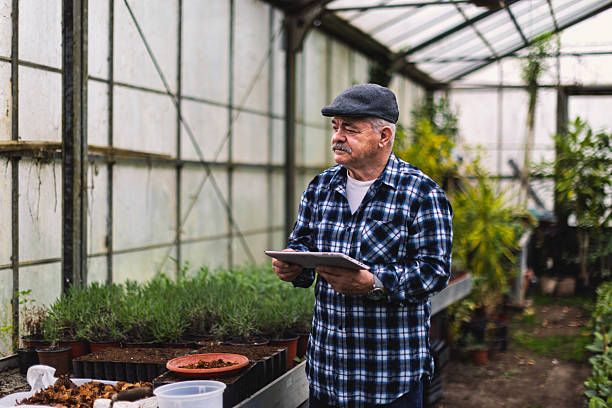 istock An older man in a greenhouse 2210877611