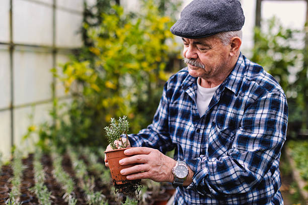 istock An older man in a greenhouse 2210877757