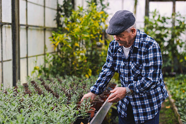 istock An older man in a greenhouse 2210877760