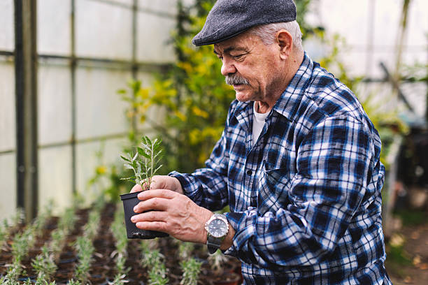 istock An older man in a greenhouse 2210877763