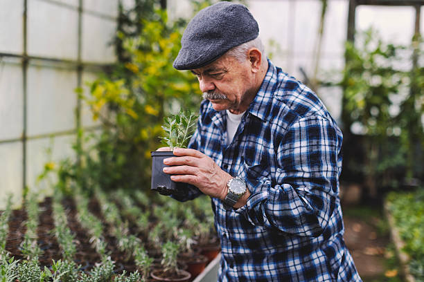 istock An older man in a greenhouse 2210877766