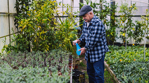 istock An older man in a greenhouse 2210877806