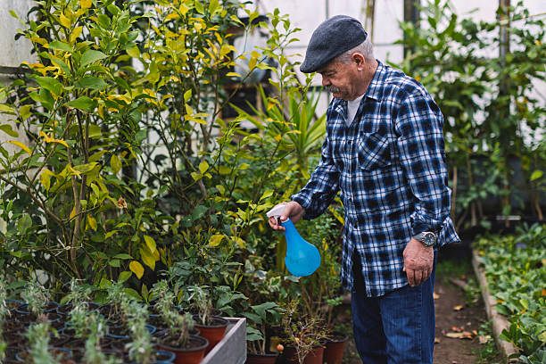 istock An older man in a greenhouse 2210877808