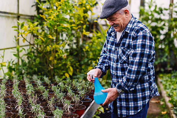An older man in a greenhouse