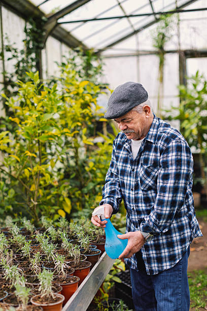 istock An older man in a greenhouse 2210877814