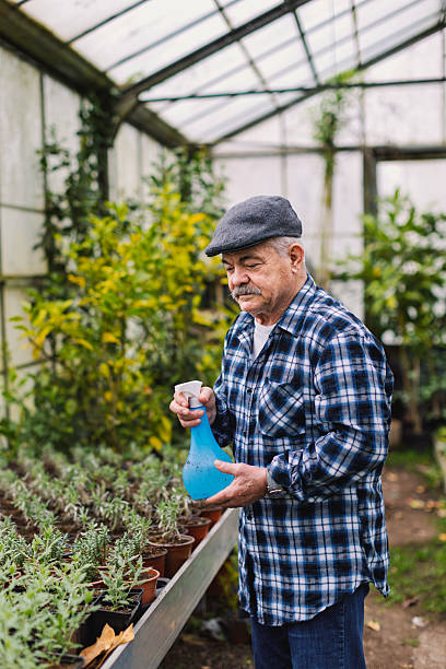 istock An older man in a greenhouse 2210877862
