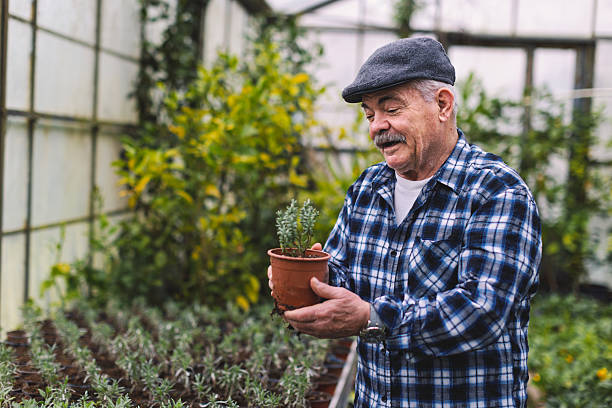istock An older man in a greenhouse 2210877903