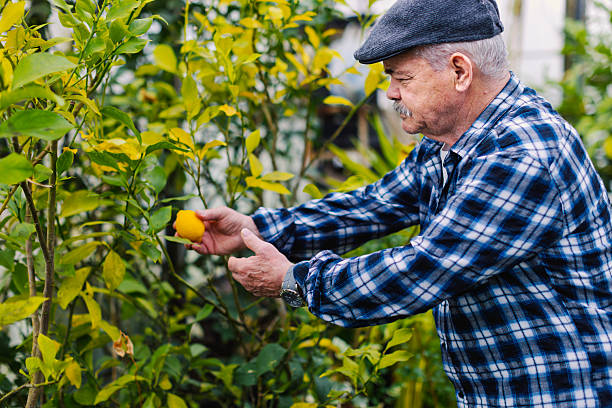 istock An older man in a greenhouse 2210877920