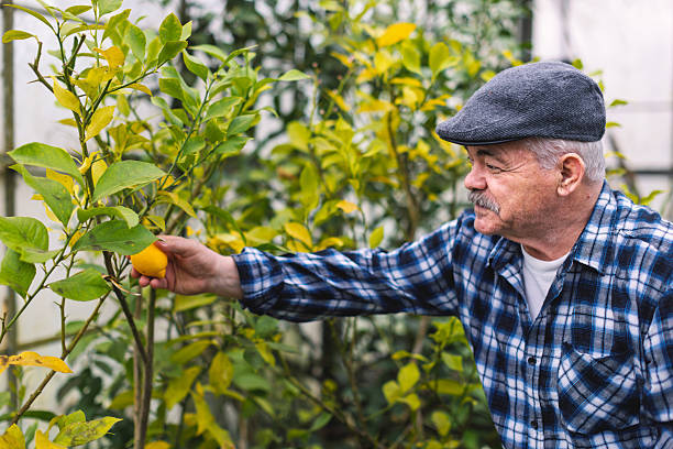 istock An older man in a greenhouse 2210877923