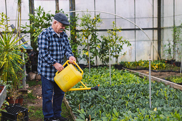 istock An older man in a greenhouse 2210877940