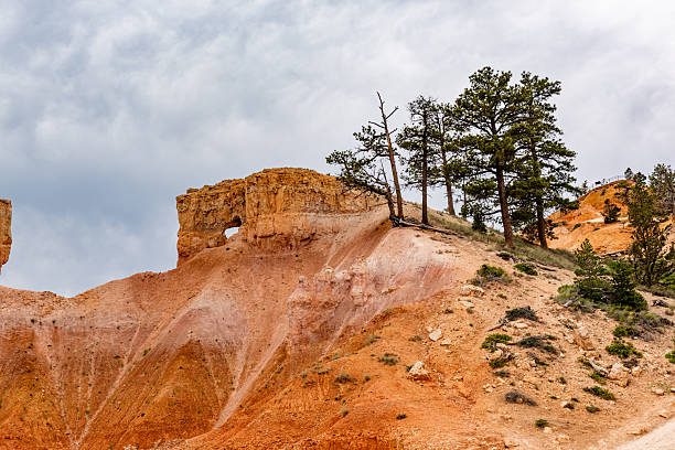 Bryce Canyon national park, Utah, USA.