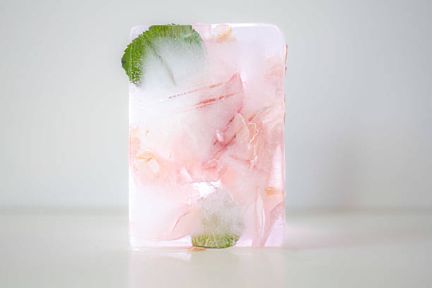 istock Frozen pink rose flowers in ice cube. Abstract still-life on white background 2210878321