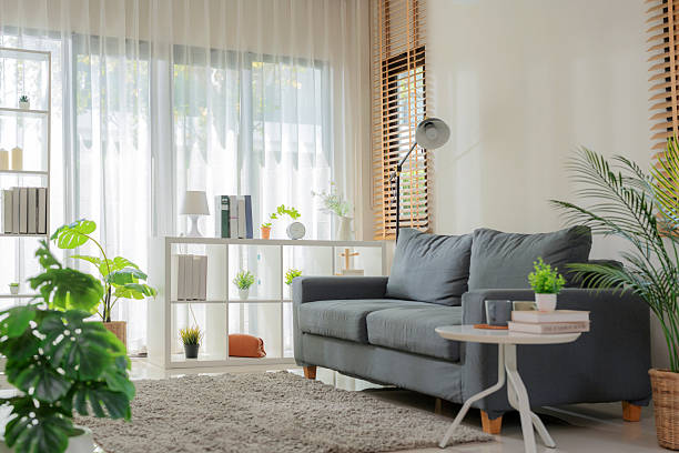 Warm modern living room with elegant design. Featuring a soft sofa, clean bookshelf, and relaxing ambiance. Perfect domestic lifestyle setting with cozy furniture, houseplants, and sunlight filtering through windows.