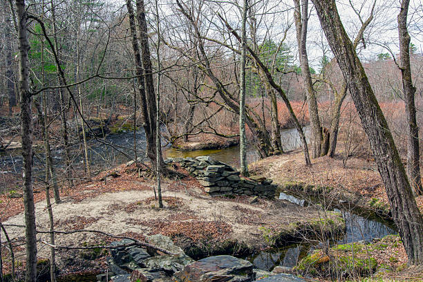 istock view of a forme mill in cook conservation area 2210880218
