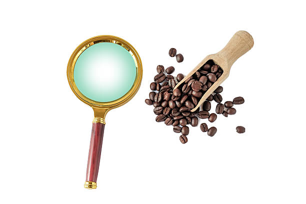 Coffee beans in wooden scoop with magnifier on white background.