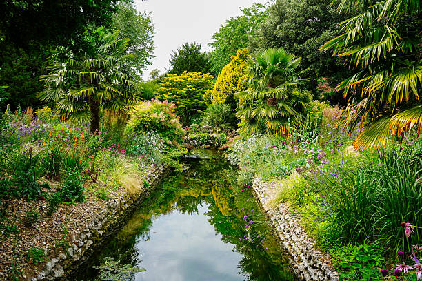 istock Landscaped pond in a garden 2210882502