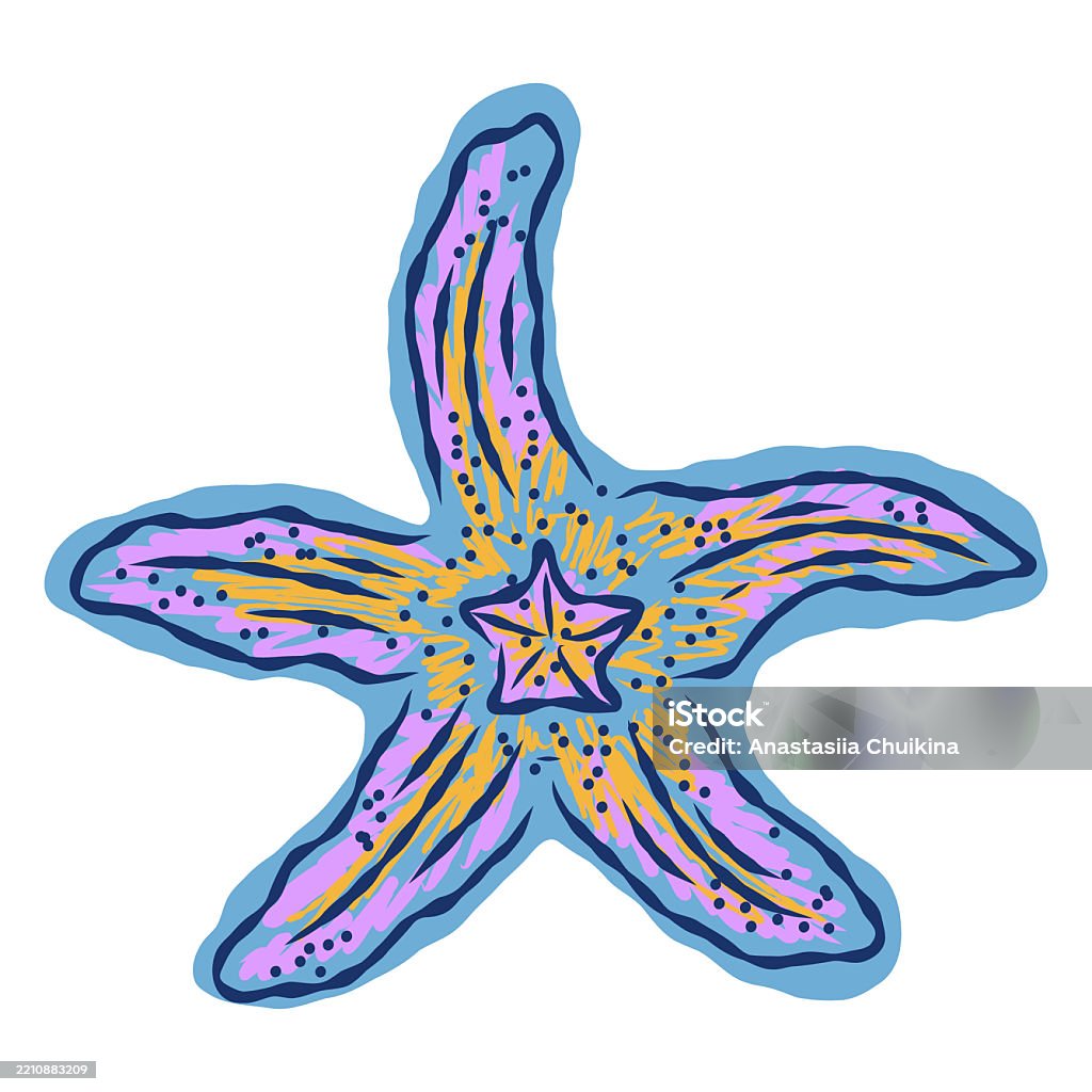 Starfish Shell Vector Starfish In Stylized Technique Marine World Shell Texture Pencil Marker ...