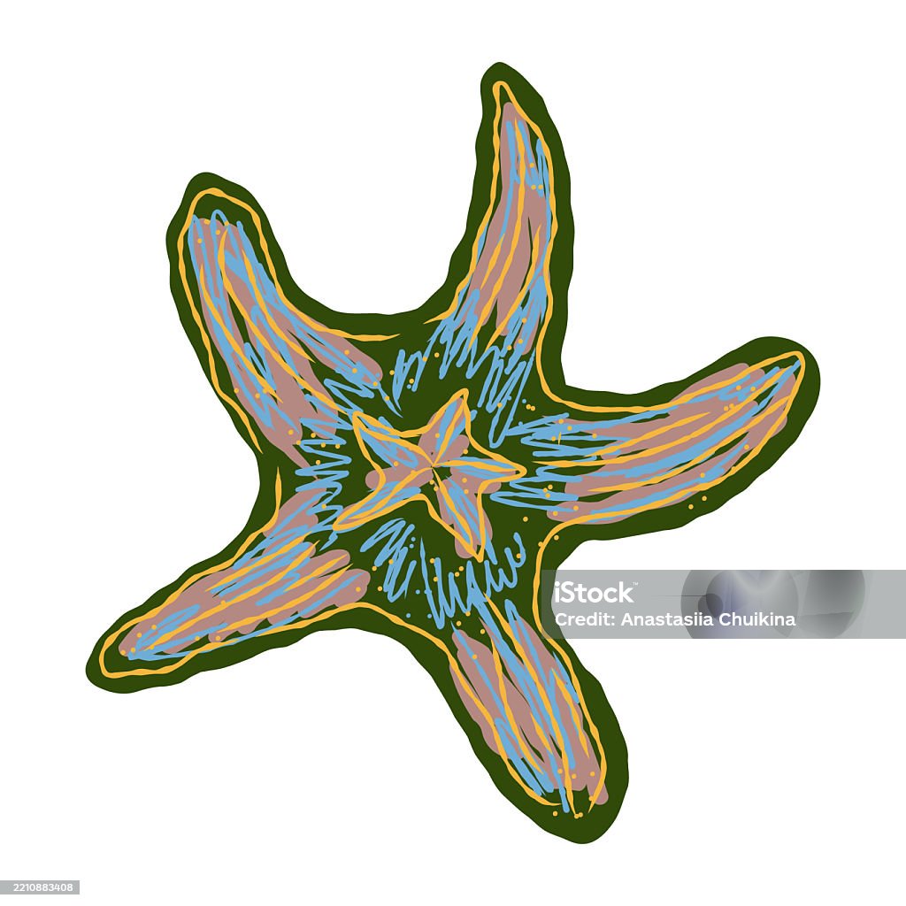 Starfish Shell Vector Starfish In Stylized Technique Marine World Shell Texture Pencil Marker ...
