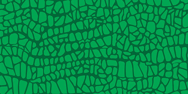 Vector alligator skin texture. Crocodile green pattern, green reptile and wild tropical animal leather.