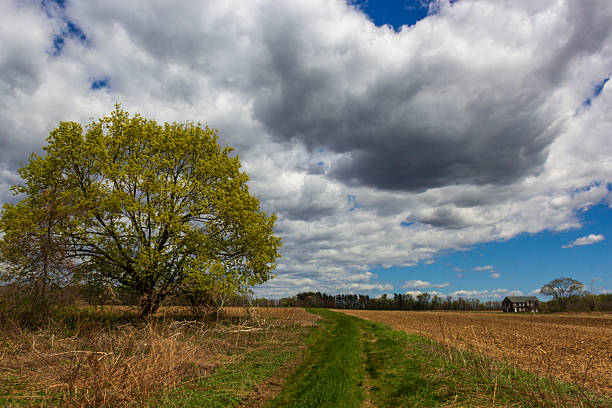 istock Tranquil Rural Landscape with Tree, Cloudy Sky, and Distant House on Horizon 2210883988