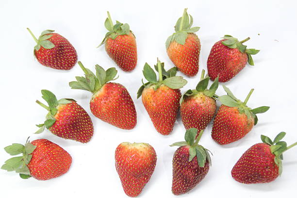 arranged strawberries with a white background. selective focus.white, background, strawberry, food, isolated, nature, leaf, health, fruit, green, color, agriculture, red, healthy, diet, juice, beautiful, natural, organic, nutrition, dessert, gourmet, eating, ingredient, berry, berries, seeds, nutrient, sweet, strawberries, ripe, macro, raw, close, close-up, closeup, cut, fresh, freshness, group, juicy, object, refreshing, refreshment, shiny, single, strawberry fruit, tasty, vibrant, vivid