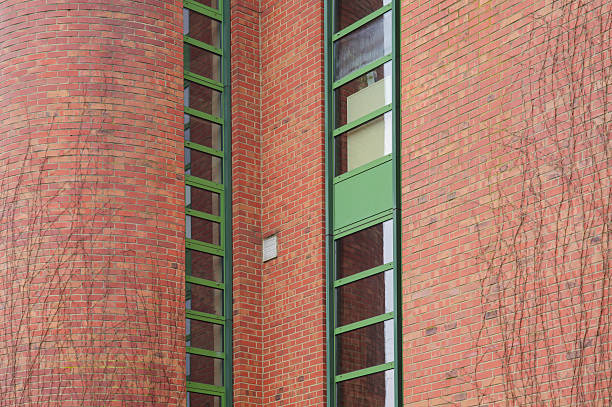 Architectural detail featuring a red brick wall, green window frames, and dried ivy branches, creating a striking contrast
