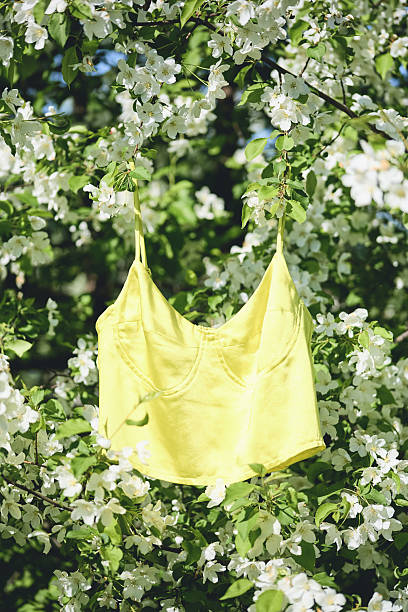 istock Yellow top hanging in blooming white flowers during spring 2210888572