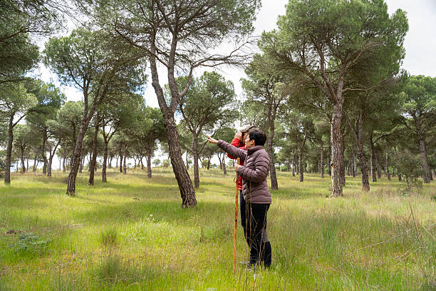 istock Birdwatchers observing birds in a pine forest during girdling day 2210891815
