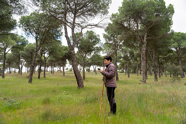 istock Ornithologist consulting her smartphone while birdwatching in the forest 2210891820