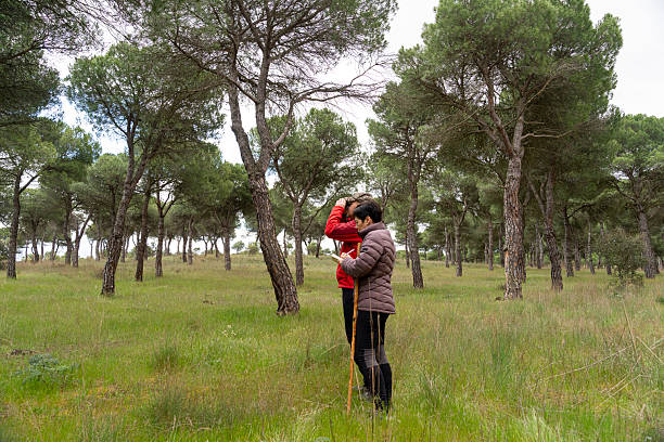 istock Birdwatchers observing birds in a pine forest during girdling day 2210891823