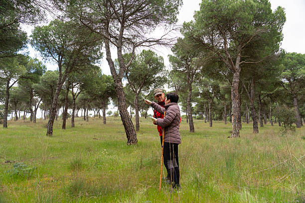 istock Birdwatchers observing birds in a pine forest during girdling day 2210891832