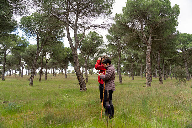istock Birdwatchers observing birds in a pine forest during girdling day 2210891848