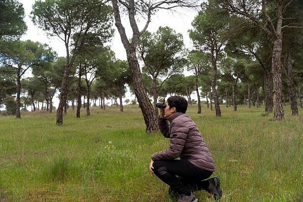 istock Biologist crouching and observing birds with binoculars in a pine forest 2210891876