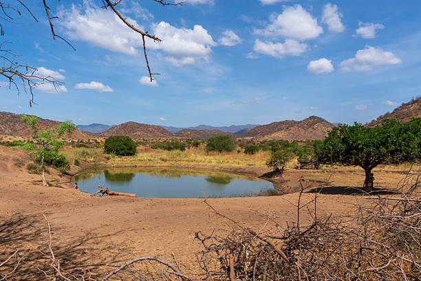 Vital  waterhole  in a dry area in the south.