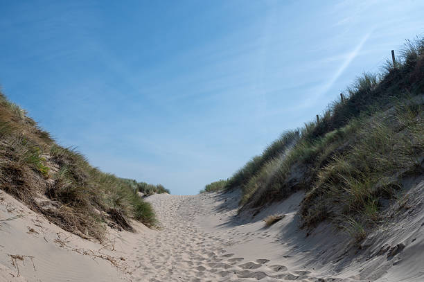 istock Path through the dunes with beach grass on the North Sea coast 2210898021