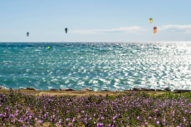 Surfers and kitesurfers in Marseille in the Provence region of southeastern France on a beautiful sunny spring day.
