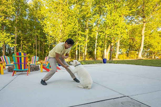 Pet Services with Asian man and Yellow Lab
