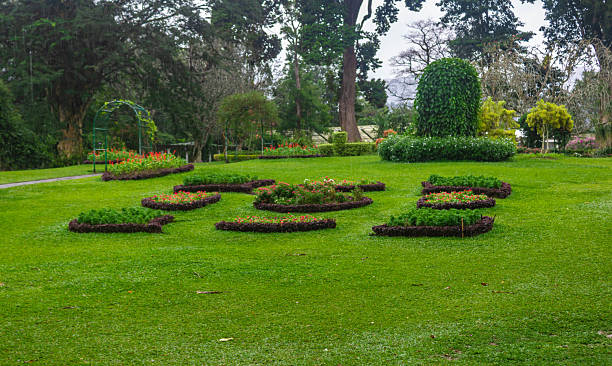 istock Royal Botanic Gardens, Peradeniya, Kandy, Sri Lanka 2210900155